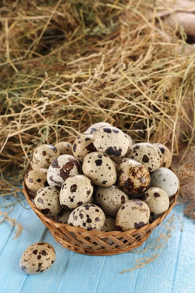 Huevos de codorniz en una cesta de mimbre — Foto de Stock