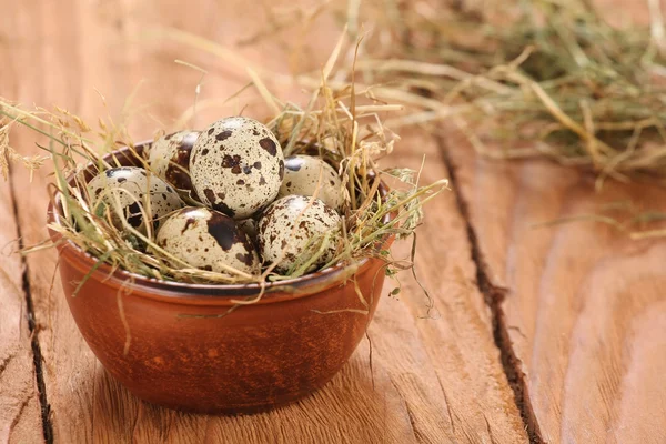 Ορτύκια αυγά σε μια πήλινη κούπα με σανό — Φωτογραφία Αρχείου