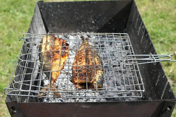 Makrelen auf dem Grill am Lagerfeuer — Stockfoto