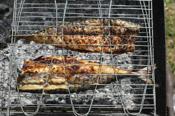 Makrelen auf dem Grill am Lagerfeuer — Stockfoto