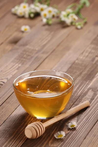 Honung i en glasskål — Stockfoto