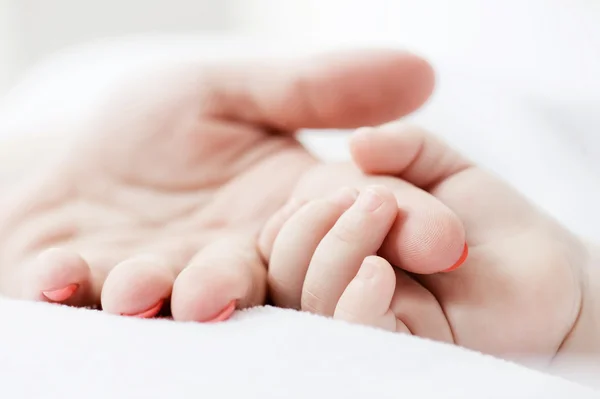Die Hand des Kindes in der Hand der Mutter — Stockfoto