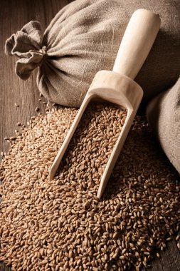 çuval arpa eski kurulları