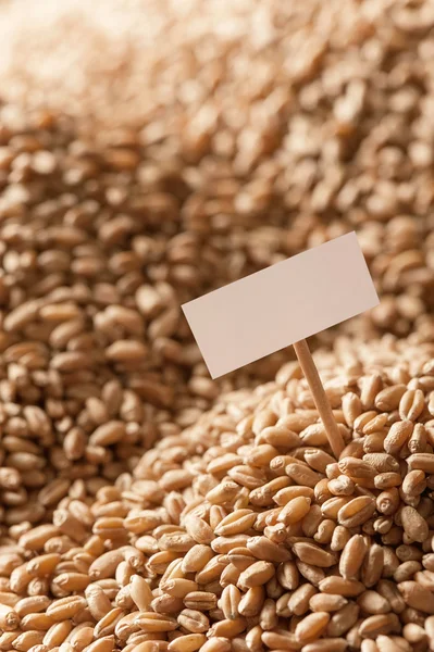 El montón del grano de trigo — Foto de Stock