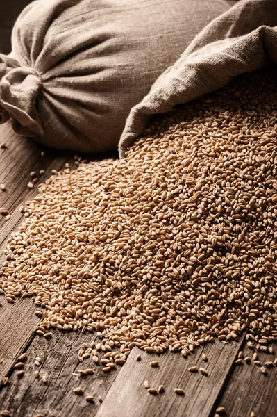 Sacks of grain on old boards — Stock Photo, Image
