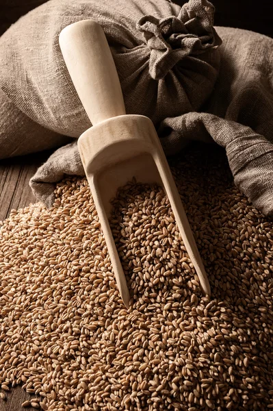 Sacks of grain on old boards — Stock Photo, Image