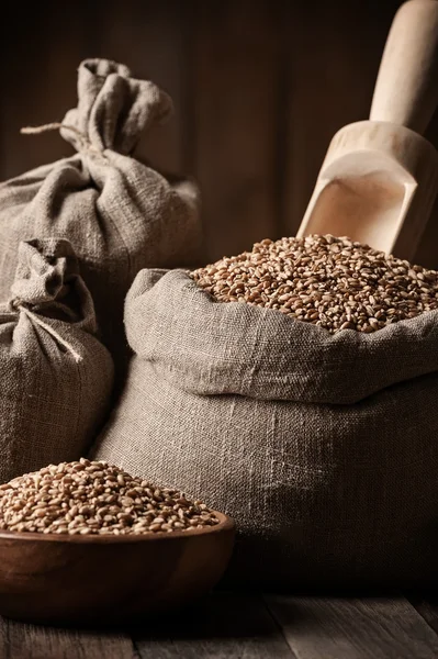 Sacks of grain on old boards — Stock Photo, Image