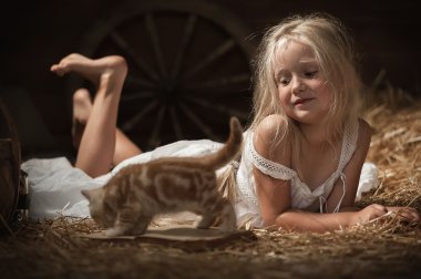 saman üzerinde yavru kedi kız