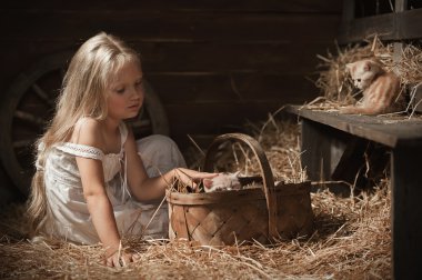 saman üzerinde yavru kedi kız