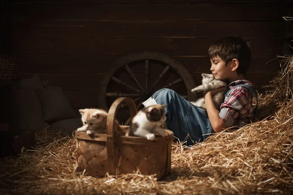 Boy playing with kittens in the barn — Stock Photo, Image