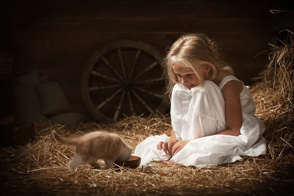 Dívka s kotětem na seno — Stock fotografie