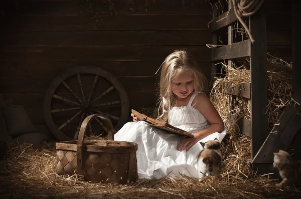 Dívka s kotětem na seno — Stock fotografie