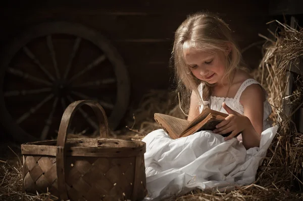 Girl with a book in the hay — Stock Photo, Image