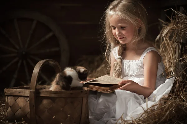 Menina com um gatinho no feno — Fotografia de Stock