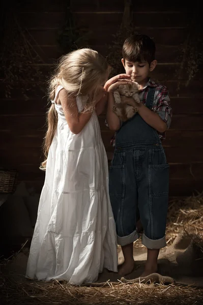 Kinder gehen Kätzchen im Korb — Stockfoto