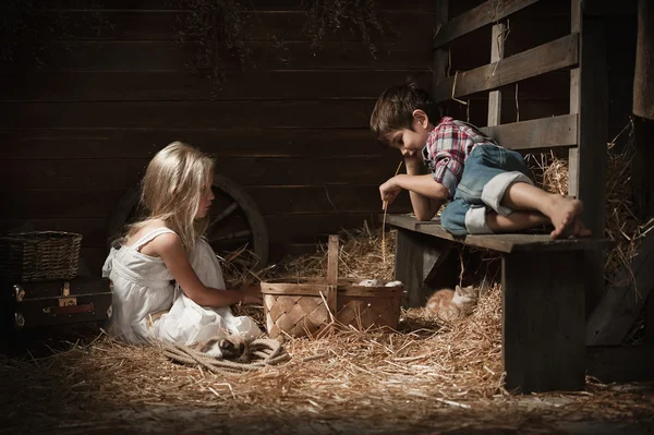 Les enfants vont chatons dans le panier — Photo