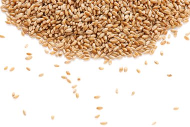 kulak ve buğday tanesi