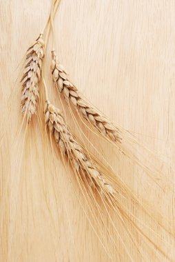 kulak ve buğday tanesi