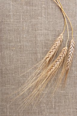 kulak ve buğday tanesi