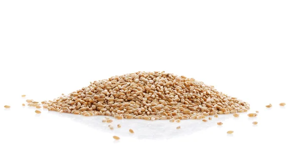及穗、 粒小麦 — 图库照片
