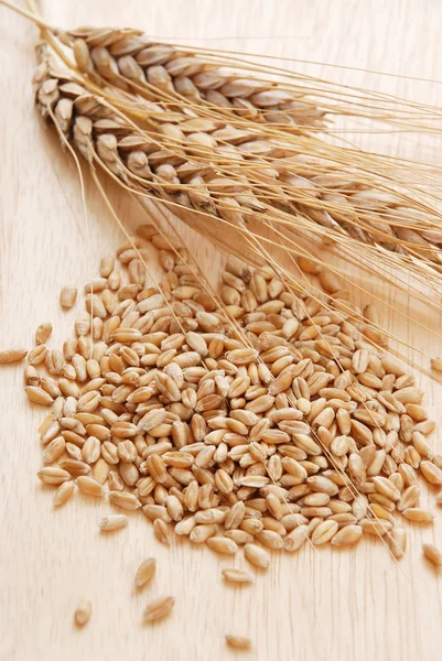 Ear and grain of the wheat — Stock Photo, Image