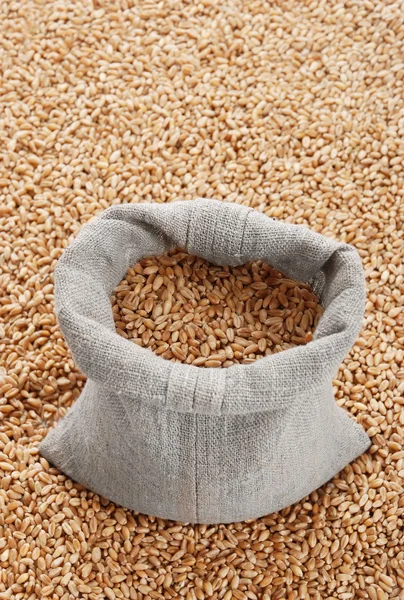 小麦と穀物と散乱バッグ — ストック写真