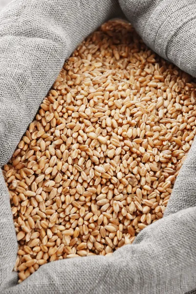 Wheat and the scattered bag with a grain — Stock Photo, Image