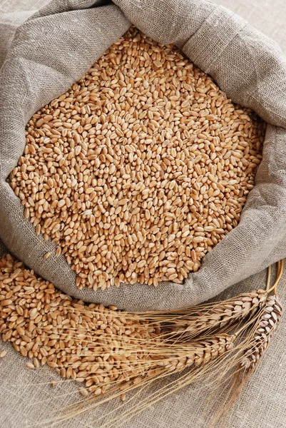 Blé et le sac dispersé avec un grain — Photo