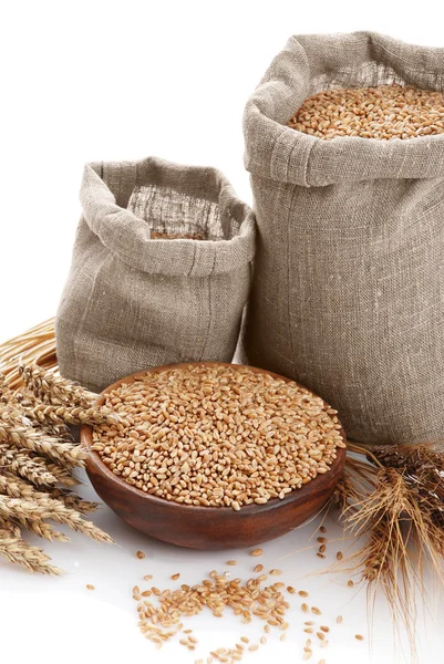 Grain de blé dans des sacs et un bol — Photo