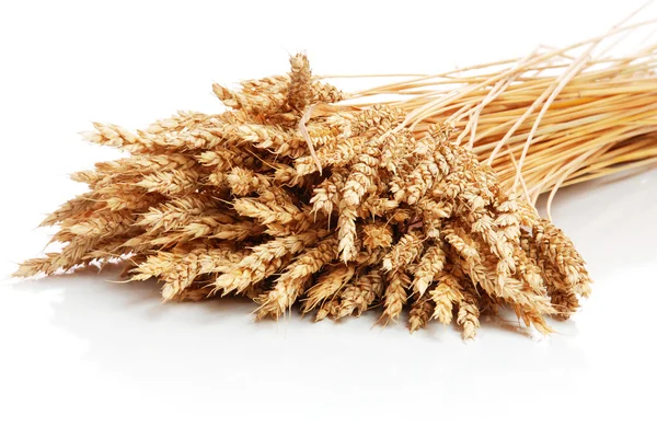 Wheat — Stock Photo, Image