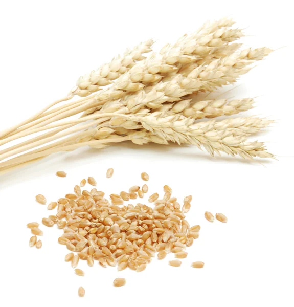 Wheat and grain — Stock Photo, Image