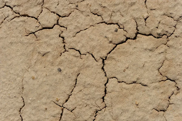 Cracked  ground — Stock Photo, Image