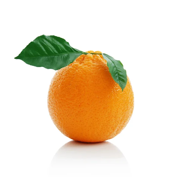 Orange — Stock Photo, Image