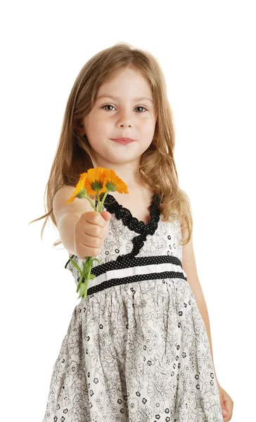 Girl and flowers — Stock Photo, Image