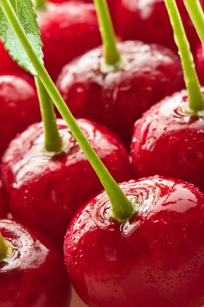 Cerezas rojas — Foto de Stock