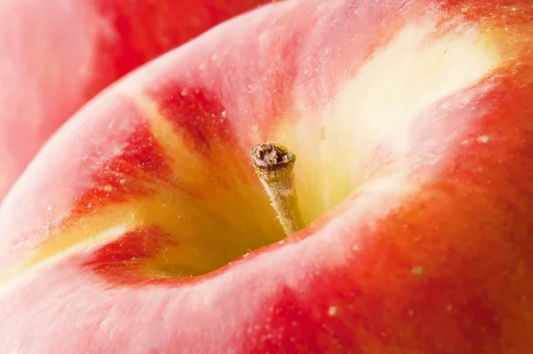 Reife rote Äpfel — Stockfoto