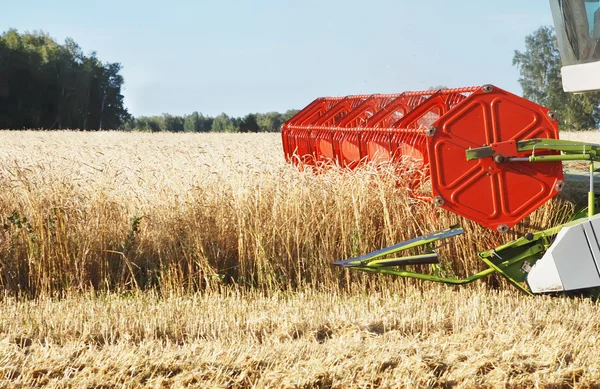 Combinar en el campo — Foto de Stock