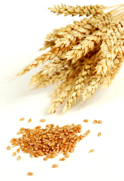 Wheat and grain — Stock Photo, Image