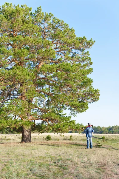 Man met een bijl in handen op een glade op een boom — Stockfoto