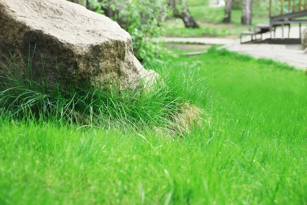 躺在绿色的草地上的石头 — 图库照片