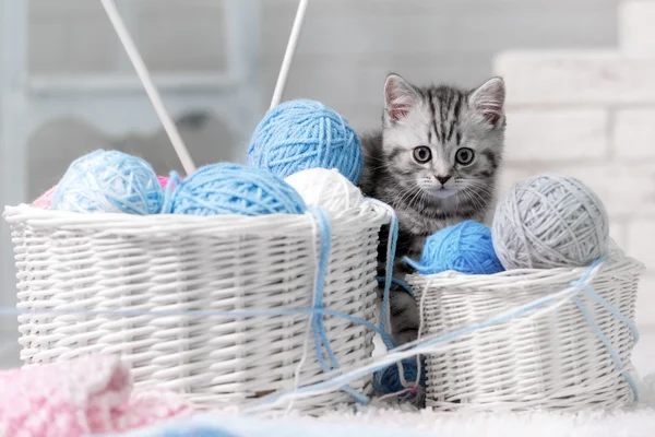 Kitten in basket — Stock Photo, Image