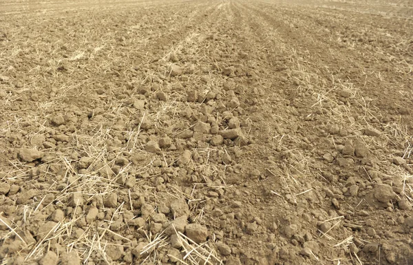 Arado de campo — Foto de Stock