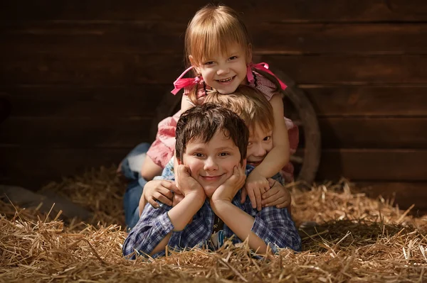 Kinderen op hooi — Stockfoto