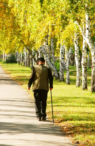 Yaşlı adam sonbahar parkta yürüyüş — Stok fotoğraf