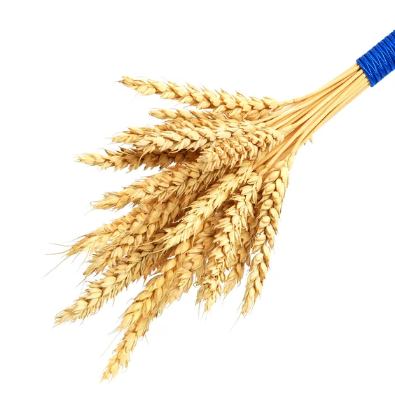 Bundle of Wheat — Stock Photo, Image