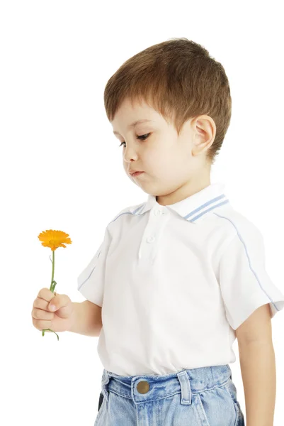 Boy with flower — Stock Photo, Image