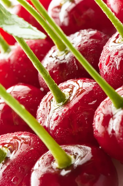 Cerezas rojas —  Fotos de Stock