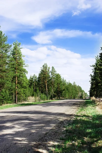 通过木材的道路 — 图库照片