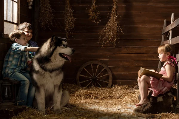 Girl reading a book to his dog — Stock Photo, Image