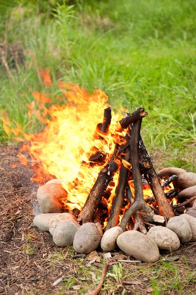 The inflamed fire — Stock Photo, Image